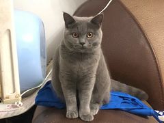 -瑞鹏瑞爱宠物医院·全科·猫科·血液透析中心(龙头寺店)