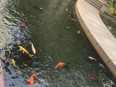 -Waterfall瀑布湾优健源(华侨城店)