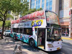 -BUS TOUR观光巴士