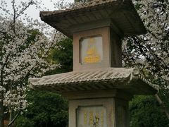 -枫桥景区