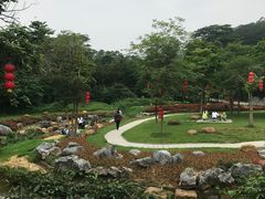 -黄埔油麻山森林公园