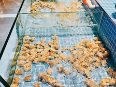 -小天鹅戴斯酒店鲸鲨百汇创作料理