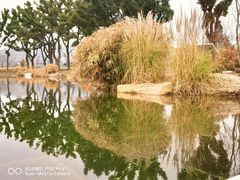 -上海植物园-4号门售票处