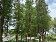 -长兴太湖图影湿地文化园