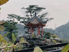 -顺峰山公园