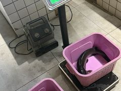 -皇中百岁鱼(西兰路店)