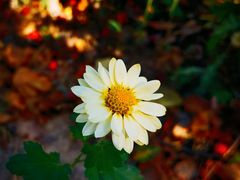 -春晖园度假酒店温泉