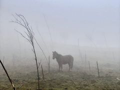 -武陵山森林公园