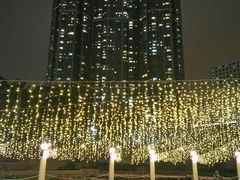 -九龙公园