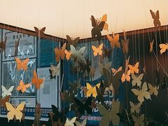 -蝴蝶里·粤菜·点心(龙湖天街&滨江店)
