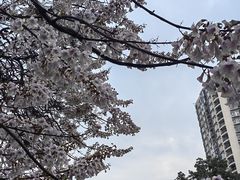 -红星桥(地铁站)
