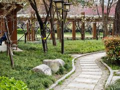 -木塔寺遗址生态公园
