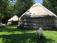 -九十九顶毡房(阜石路店)