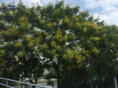 -东华大学(松江校区)