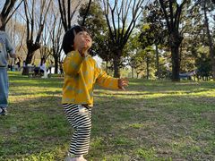 -洨河生态公园