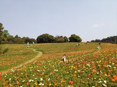 -保利石象湖景区