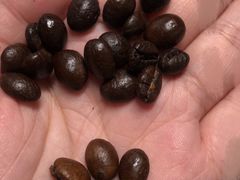 -COMMUNE幻师(上邦百汇城店)