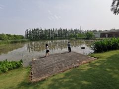 -上海长兴岛郊野公园