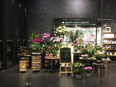-豆豆花艺(新光天地店)