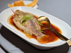 清蒸东星斑-徐记海鲜·家宴(南油永新汇店)