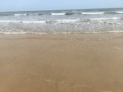 -日照海滨国家森林公园