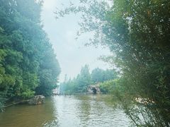 -尚湖风景区