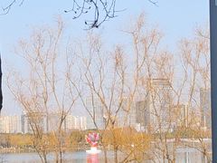 -天鹅湖体育公园