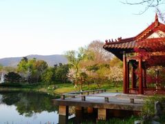 -灵谷景区