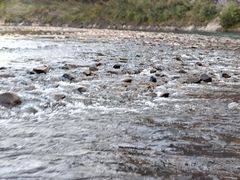 -九曲溪竹筏码头