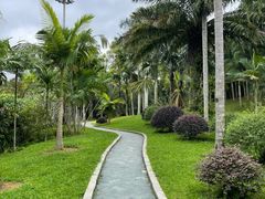 -深圳仙湖植物园