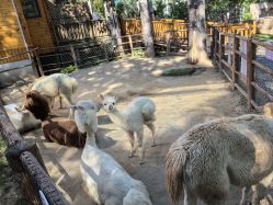 -禧园Joyous Garden ·宴会厅(禧园店)