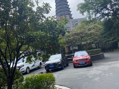 -听松楼·花园酒店·自助餐厅(红梅公园店)