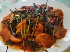 -庆岭迎宾园正宗活鱼馆