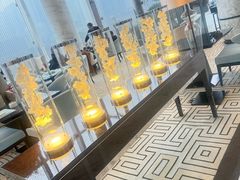 -成都尼依格罗酒店