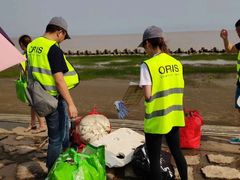 -南汇嘴观海公园