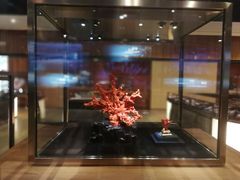 -绮丽珊瑚(台北101旗舰门市店)