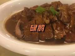 -新锦鸿(演达店)