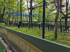 -WeLope紫金山探险公园
