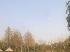 -太阳岛旅游度假区