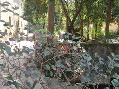 -李宗仁先生故居