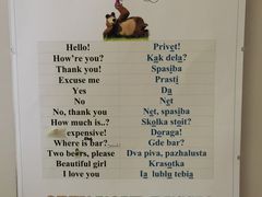 -滴血救世主教堂