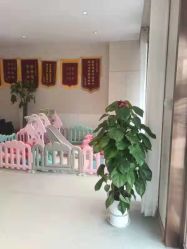 -Dr.林醫生产后修复·配方产康店(南京大厂店)