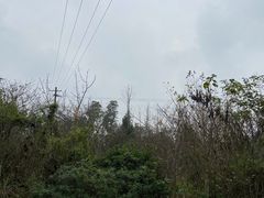 -桤木河湿地公园