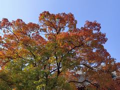 -香山公园