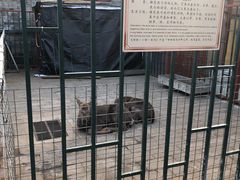 -有喜胶东小馆(太申祥和店)