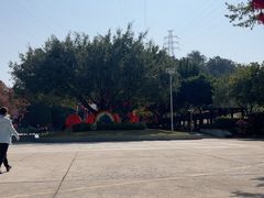 -仙岳公园
