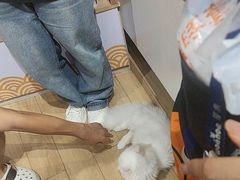 -屋虎猫馆(宝安大仟里店)