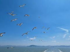 -长岛南北长山旅游景区