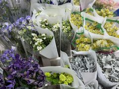 -循礼门鲜花花市(武汉循礼门店)