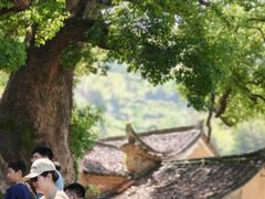 -杨家堂村